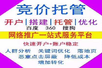 百度竞价代理的投放技巧与效果评估案例